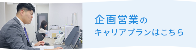 企画営業のキャリアプランはこちら