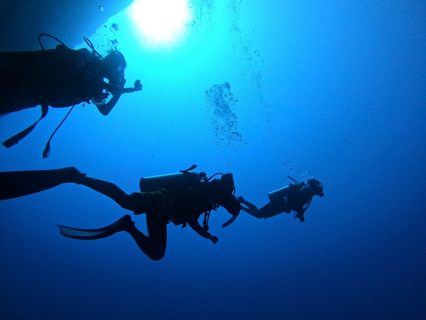 BLUE TAIL　第29回活動